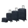 IT Luggage Momentous - 4-Piece Set (Tibetan Lan) -IT Luggage Sales 32755 UK15 2886 15 61386 HK15 2886 08TibetLanSSFrontpanel