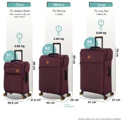 Simultaneous - 3pc Set (French Port) -IT Luggage Sales Simultaneous Set French Port dims weights