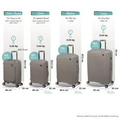 IT Luggage Spontaneous - Large (Feather Grey) -IT Luggage Sales Spontaneous Full set Feather dims weights